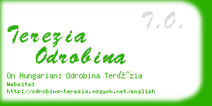 terezia odrobina business card
